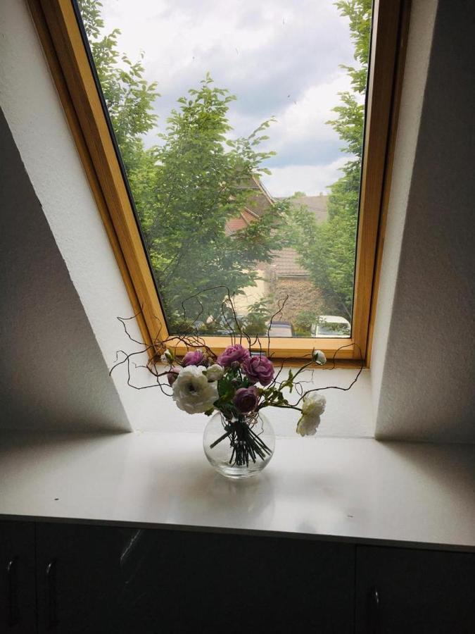 Rheingau - Schoene Moeblierte Ferienwohnung Eltville am Rhein Exterior foto